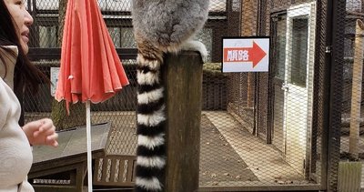 🦒 사유리 월드 (사유리 와루도) 이미지 7